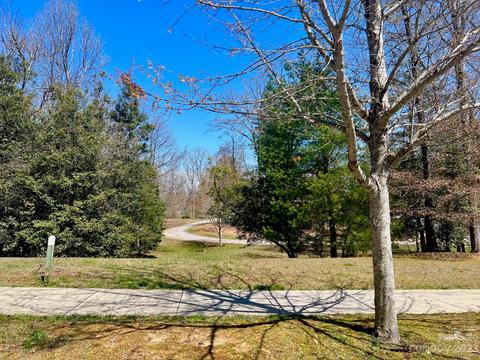 Cadence Circle, Brevard, NC 28712 photo 9