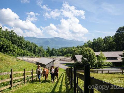 100 Boar Ridge Rd, Sylva, NC 28779 photo 47