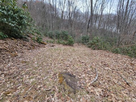 00 Pisgah Mountain Rd, Canton, NC 28716