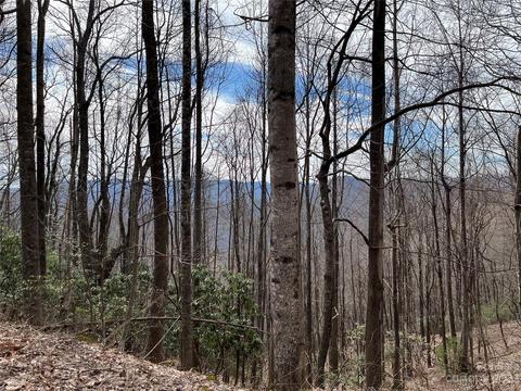 Tbd Sheets Gap Road, Millers Creek, NC 28651
