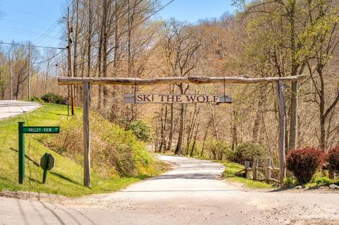 230 Hampton Gap Dr, Mars Hill, NC 28754 photo 39