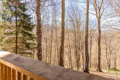 230 Hampton Gap Dr, Mars Hill, NC 28754 photo 20