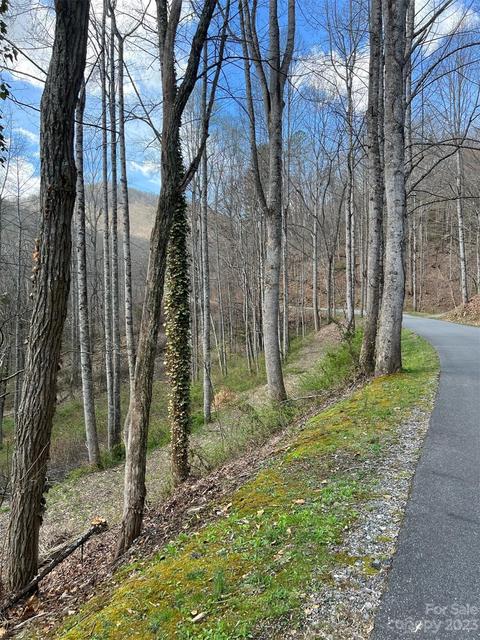 337 North Country Club Drive, Cullowhee, NC 28723