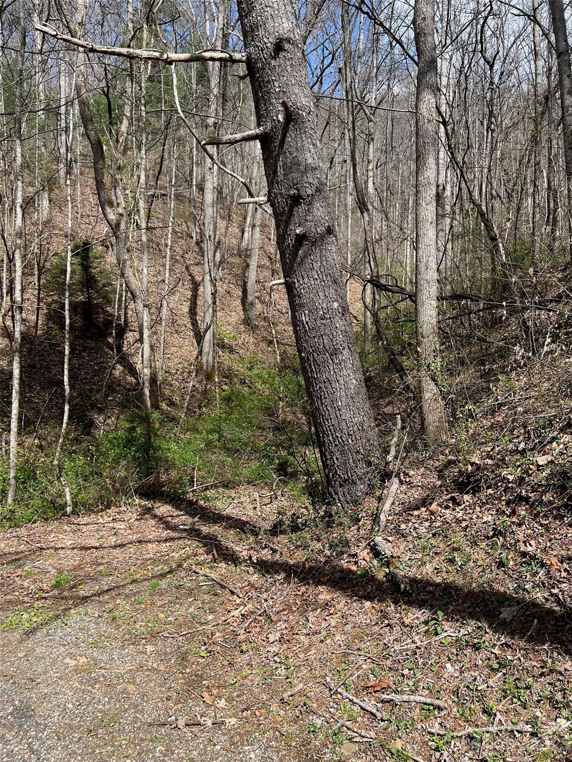 304 North Country Clb Dr