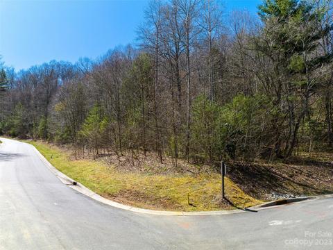 53 Old Lafayette 30 Ln #30, Black Mountain, NC 28711