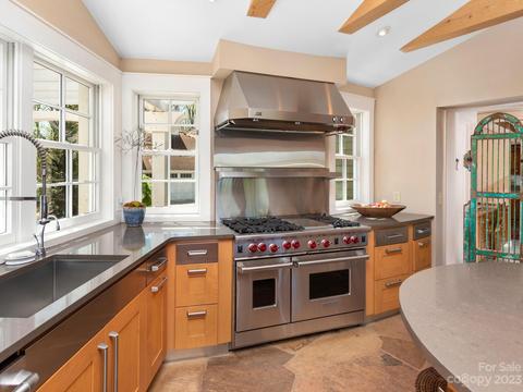 236 Carriage Row, Tryon, NC 28782 photo 19