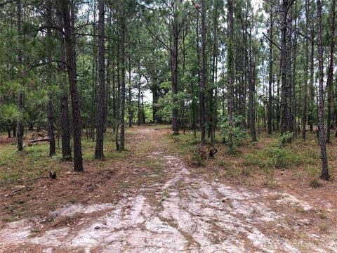 3084 Bethune Rd, Bethune, SC 29009 photo 8