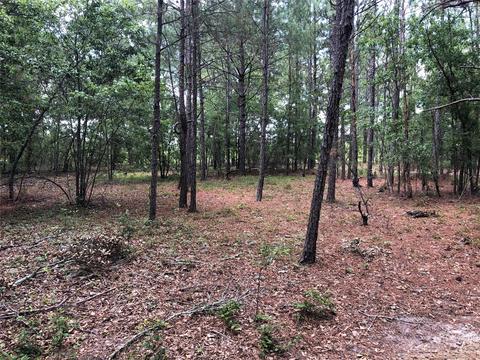 3084 Bethune Rd, Bethune, SC 29009 photo 7