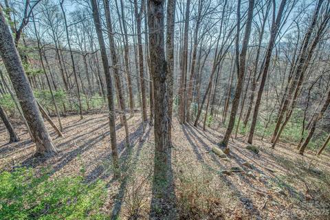 200 Cabbage Patch Rd, Saluda, NC 28773 photo 35