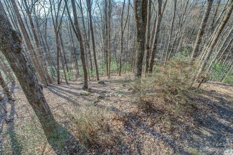 200 Cabbage Patch Rd, Saluda, NC 28773 photo 37
