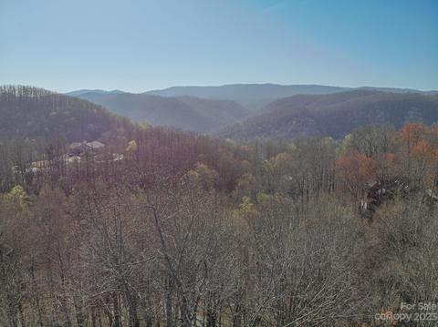 200 Cabbage Patch Rd, Saluda, NC 28773 photo 33