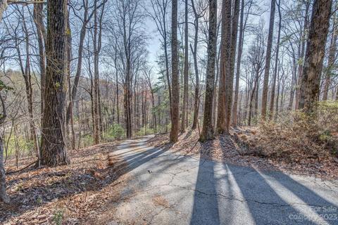 200 Cabbage Patch Rd, Saluda, NC 28773 photo 36
