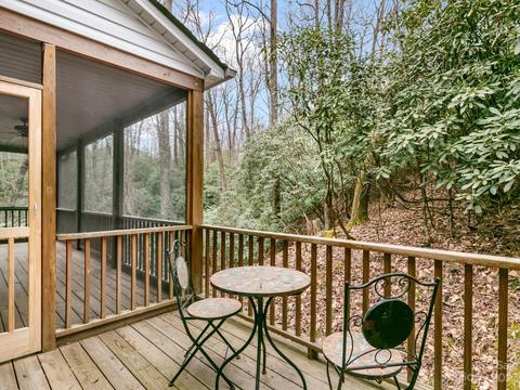 6 Duya Ct, Brevard, NC 28712 photo 28