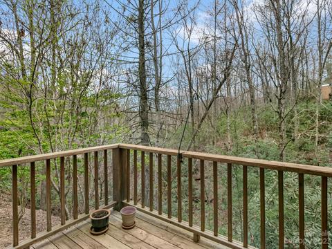 6 Duya Ct, Brevard, NC 28712 photo 30