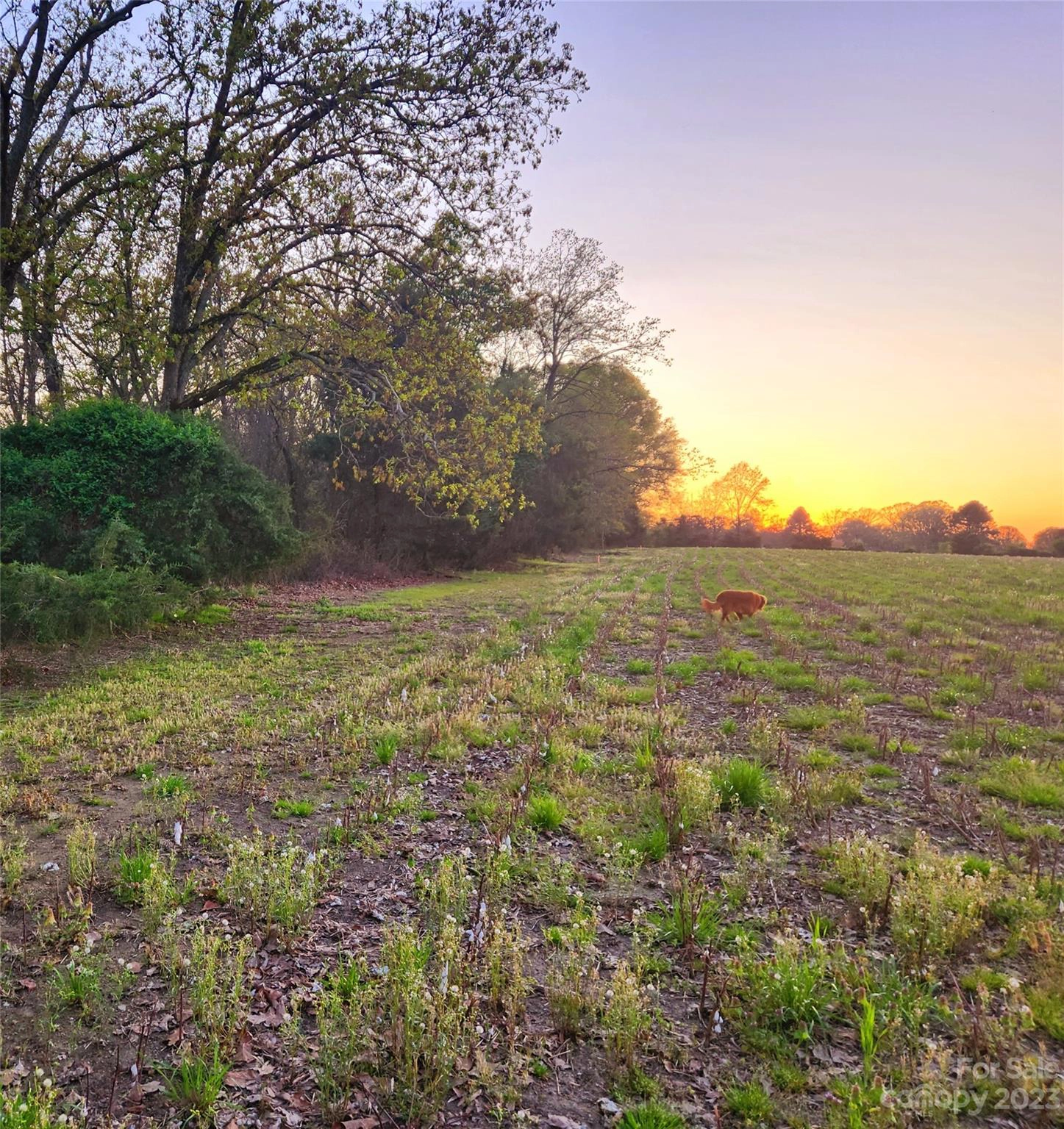 5965 Hwy 218 E 2 Hwy Unit 2