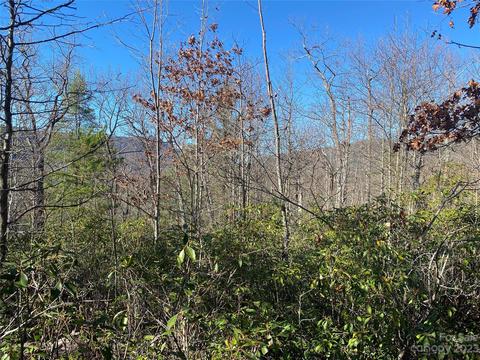 Sunrise Path, Marion, NC 28752 photo 8