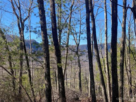 Sunrise Path, Marion, NC 28752
