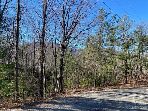 Sunrise Path, Marion, NC 28752 photo 11