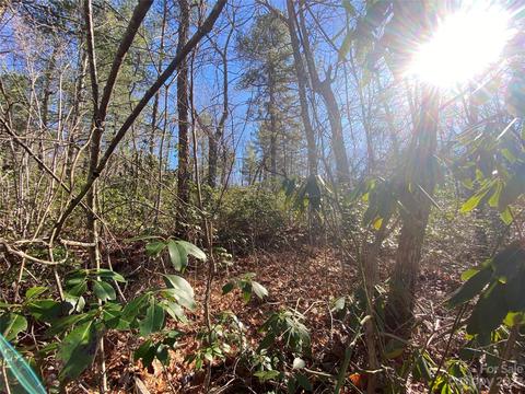 Sunrise Path, Marion, NC 28752 photo 7