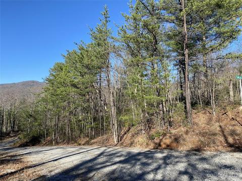 Sunrise Path, Marion, NC 28752 photo 10