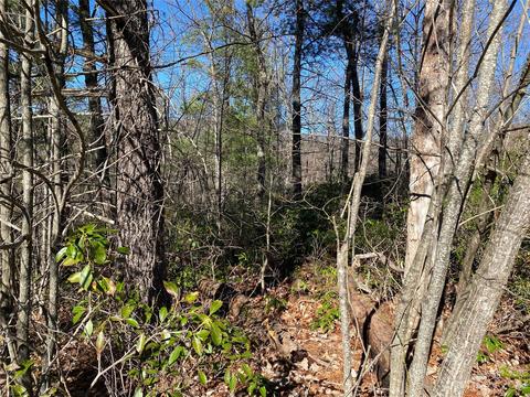 Sunrise Path, Marion, NC 28752 photo 9
