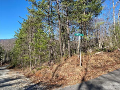Sunrise Path, Marion, NC 28752 photo 6