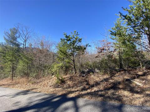 Sunrise Path, Marion, NC 28752 photo 13