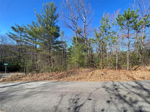 Sunrise Path, Marion, NC 28752 photo 12