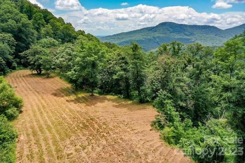0000 Main St, Chimney Rock, NC 28720