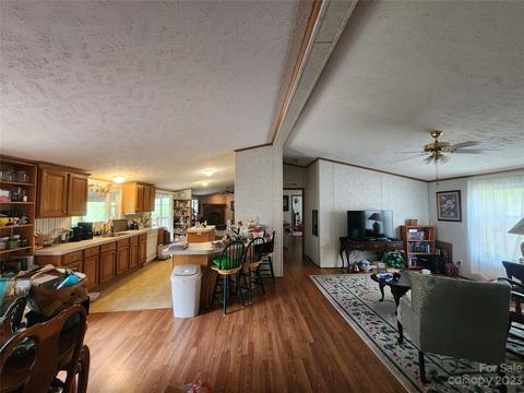 341 Groundhog Rd, Canton, NC 28716 photo 9