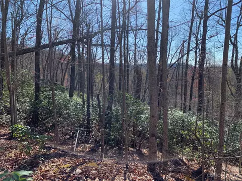 Rhododendron 740 Drive #740, Old Fort, NC 28762