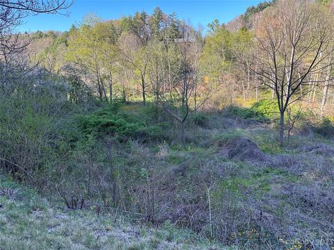 000 Amos Arrington Rd, Clyde, NC 28721