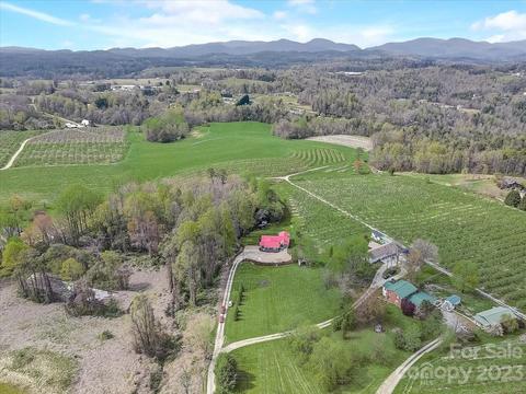 150 Raspberry Point Ln, Flat Rock, NC 28731 photo 40