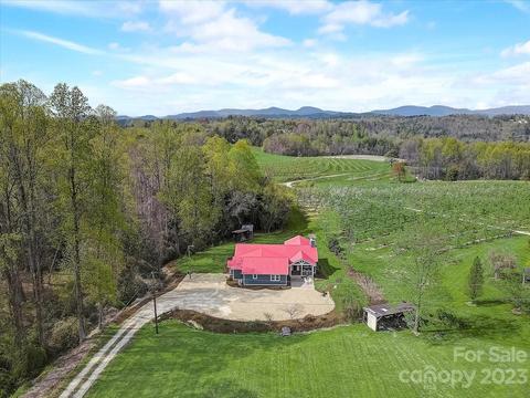 150 Raspberry Point Ln, Flat Rock, NC 28731 photo 45