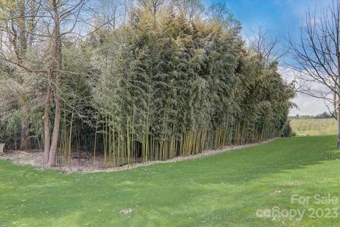 150 Raspberry Point Ln, Flat Rock, NC 28731 photo 37