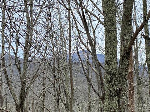 Tbd Farview Lane, Newland, NC 28657