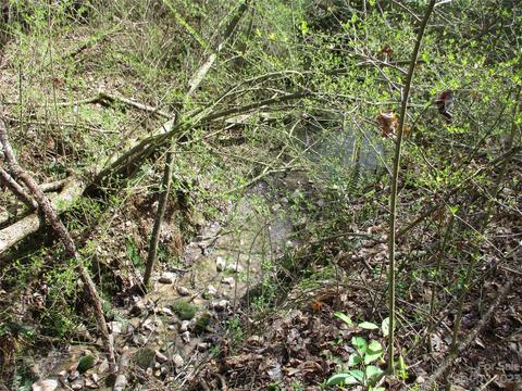 Lee Matheson Road, Taylorsville, NC 28681