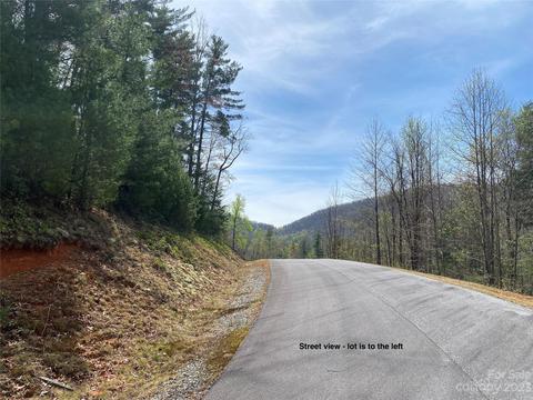 Peppervine Circle, Rosman, NC 28772