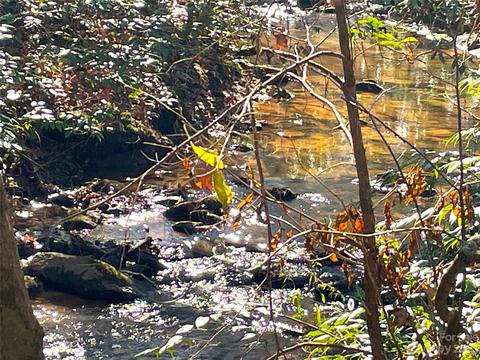 Lot 30 S Cross Creek Trail, Mill Spring, NC 28756