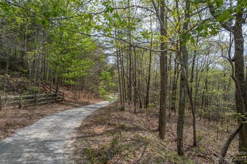 00 Caledonia, Landrum, SC 29356