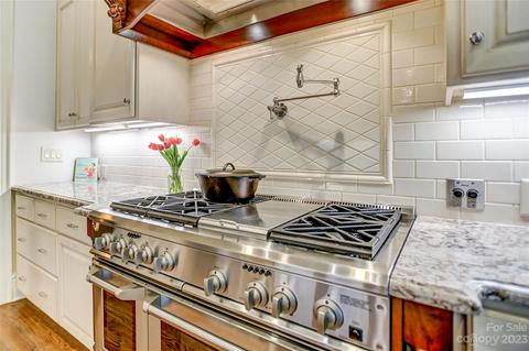13804 Tributary Ct, Davidson, NC 28036 photo 8