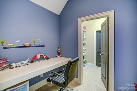 13804 Tributary Ct, Davidson, NC 28036 photo 28