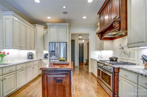13804 Tributary Ct, Davidson, NC 28036 photo 9