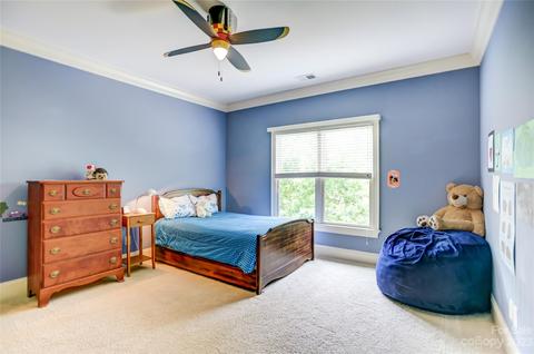 13804 Tributary Ct, Davidson, NC 28036 photo 27