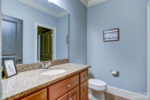13804 Tributary Ct, Davidson, NC 28036 photo 30