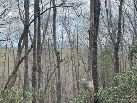 74 Beechnut Dr, Marion, NC 28752