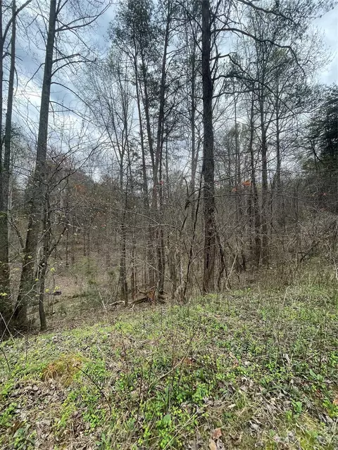 74 Beechnut Dr, Marion, NC 28752 photo 4