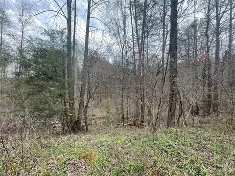 74 Beechnut Dr, Marion, NC 28752 photo 2