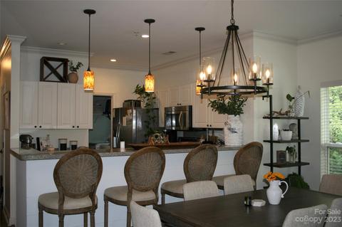 741 Peninsula Dr, Davidson, NC 28036 photo 20