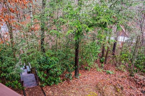 54 Ivy Ridge Cir, Sylva, NC 28779 photo 26